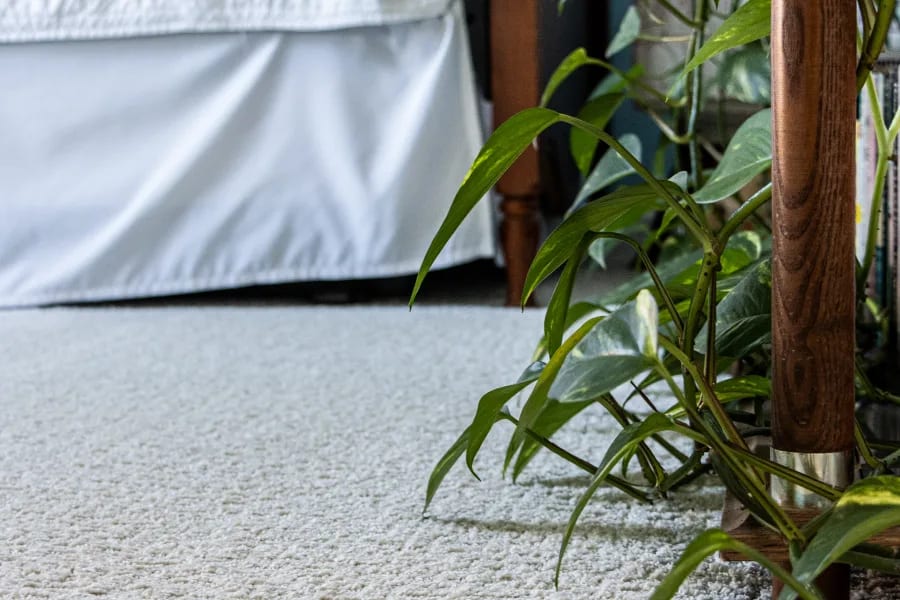 Carpet Flooring in Berea, or Broadview Heights, OH