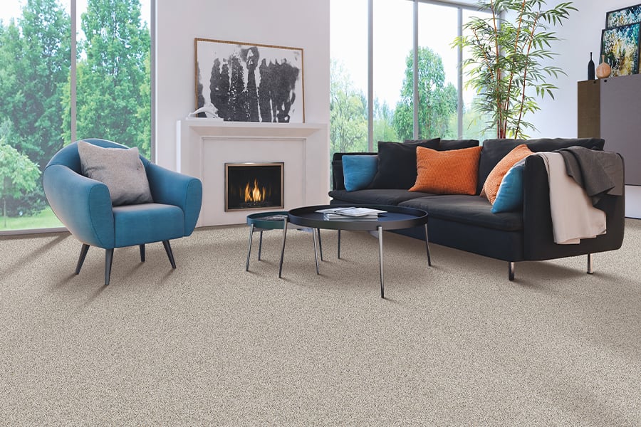 Carpet flooring in Dove Mountain, AZ
