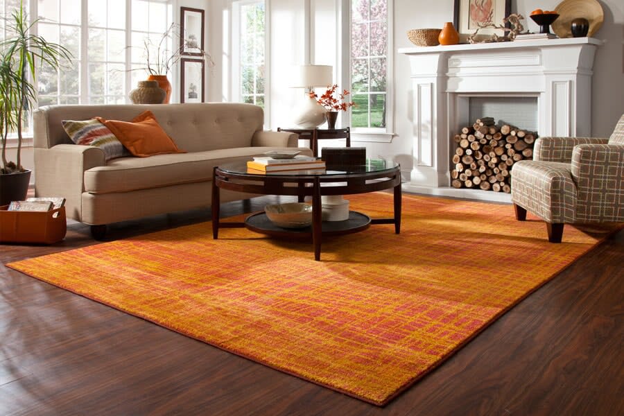 About area rugs in Port Coquitlam, BC from Absolutely Floored