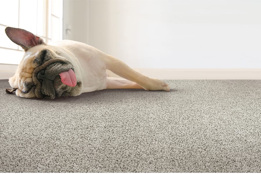 About carpet in Perry, GA from The Floor Store & Cabinet Shop