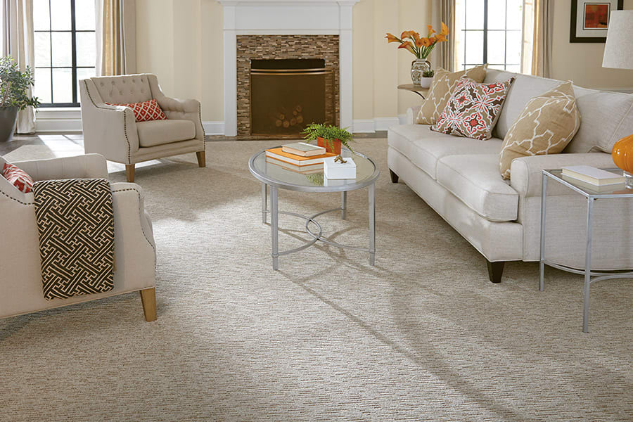 Contemporary carpet in Holly Springs, NC from The Home Center Flooring & Lighting