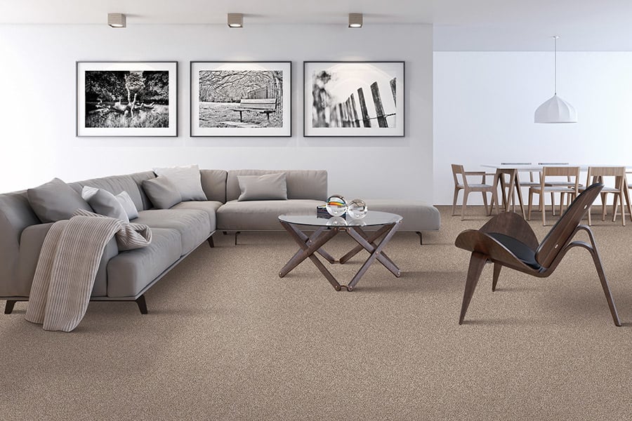 Stylish carpet in Selkirk, MB from King's Flooring & Furniture Gallery & Canadian Carpet Outlet