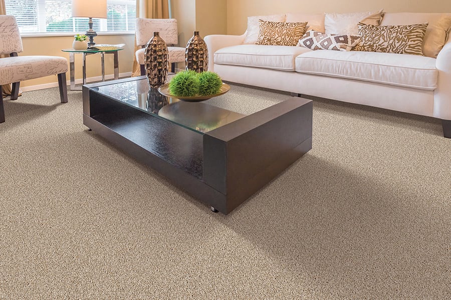 Durable carpet in Apex, NC from The Home Center Flooring & Lighting