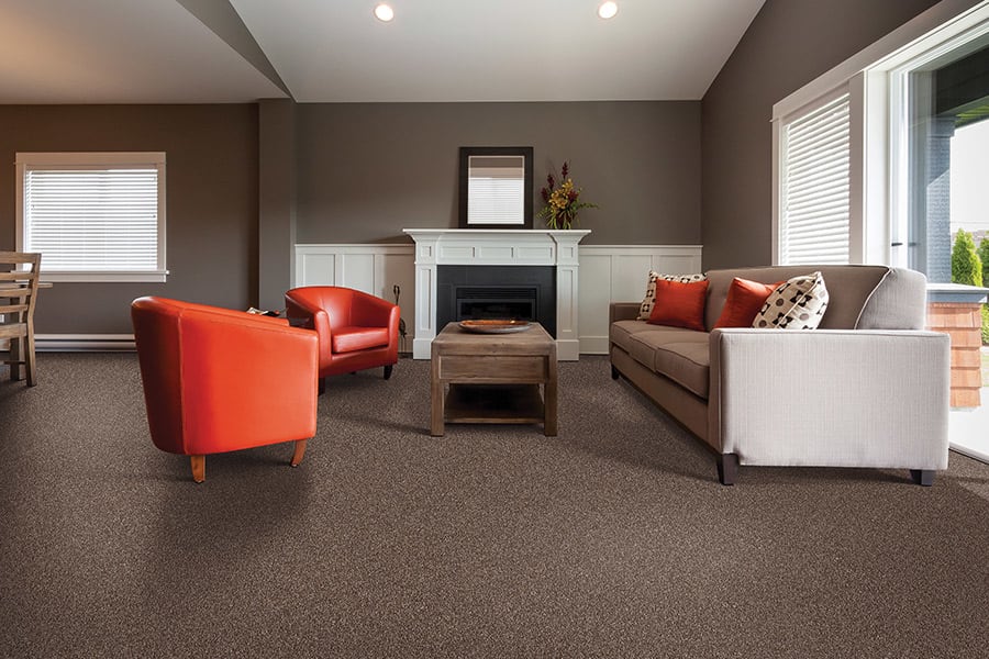 Contemporary carpet in Pewaukee, WI from Quest Interiors