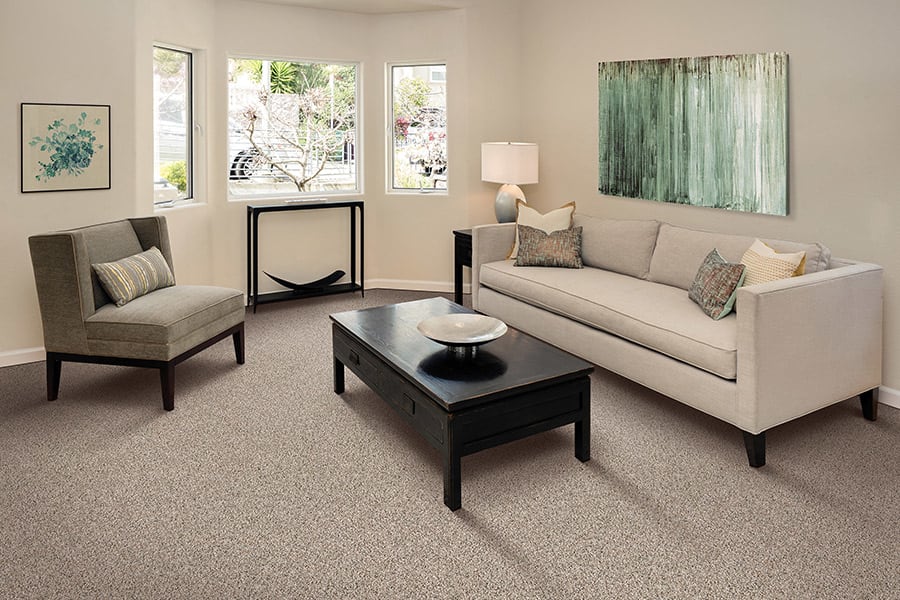 Carpet trends in Franklin, TN from The L & L Flooring Company