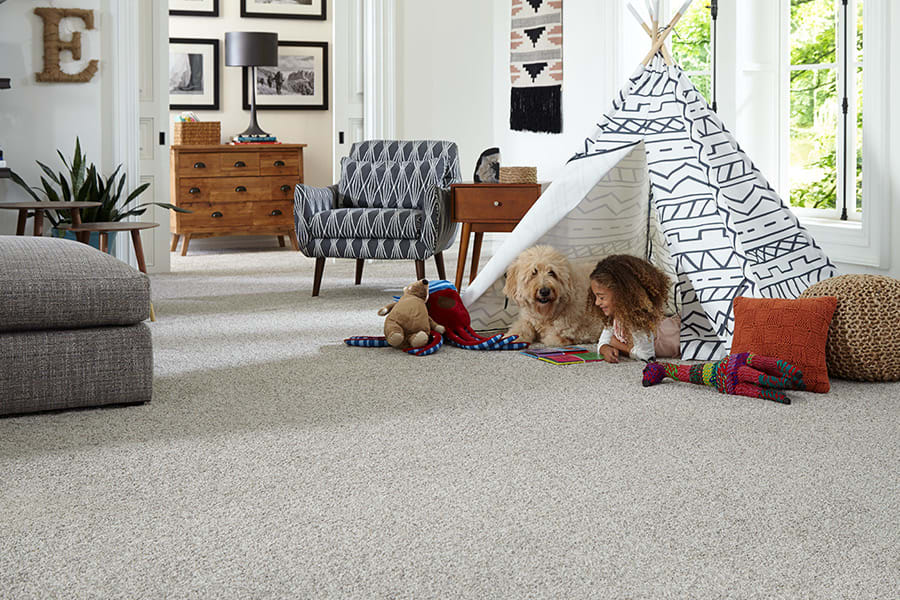 Contemporary carpet in St. Augustine, FL from Hasty's St. Augustine Flooring