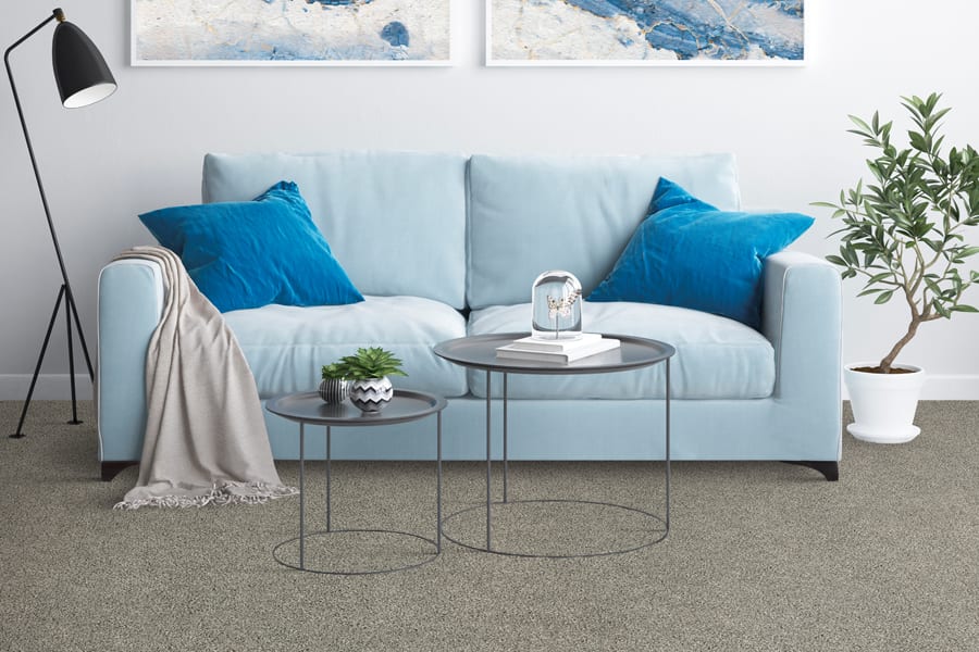 Carpet trends in Cape Coral, FL from Smart Floors USA