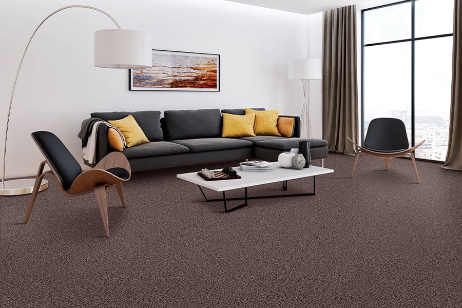 Contemporary carpet in Ocala, FL from Ocala Floors and More