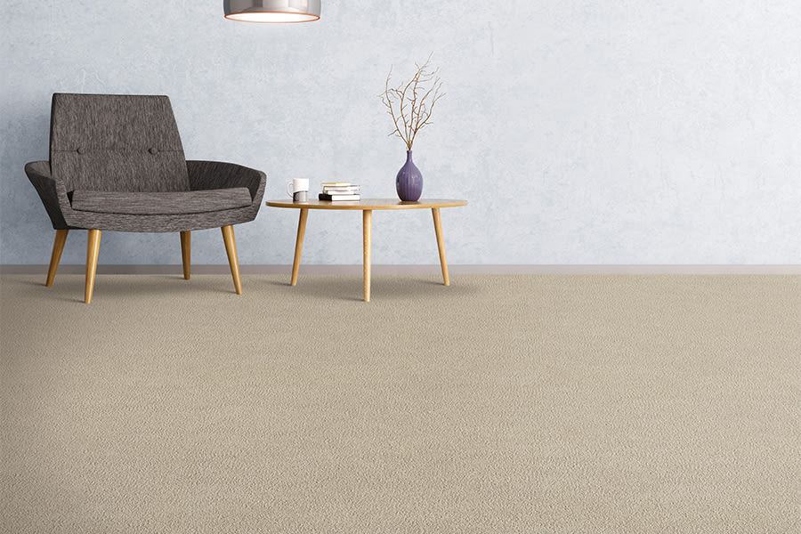 Stylish carpet in Ocala, FL from Ocala Floors and More