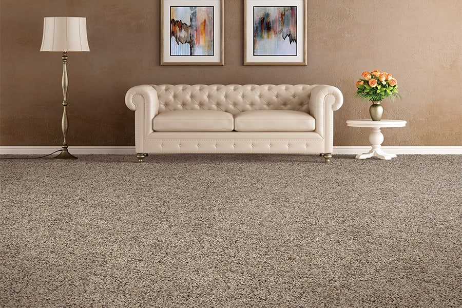 Durable carpet in Savannah, GA from Carpet Store Plus