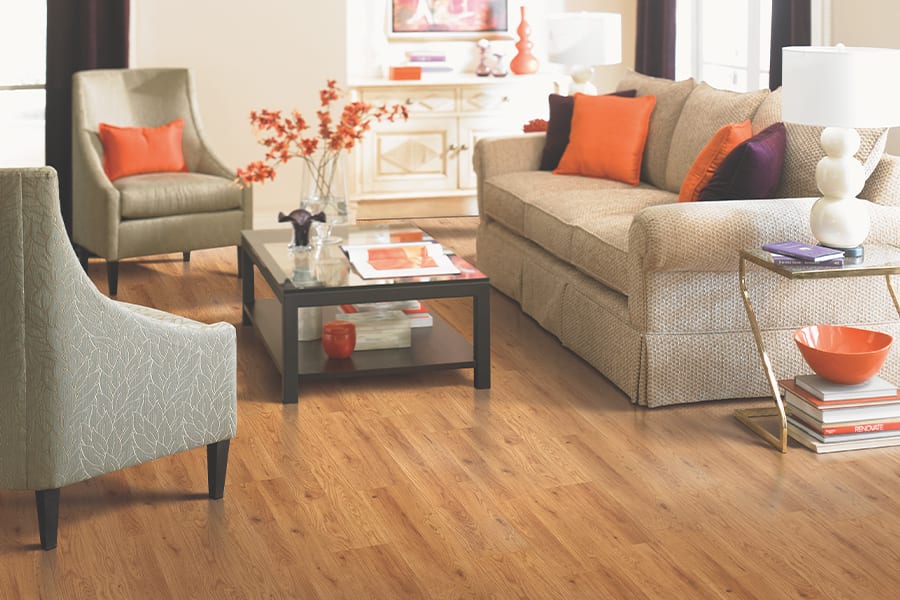 Innovative laminate in Ocala, FL from Ocala Floors and More