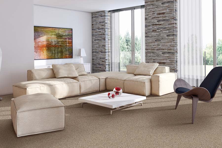 Carpet trends in Houston, TX from Manchester Carpet