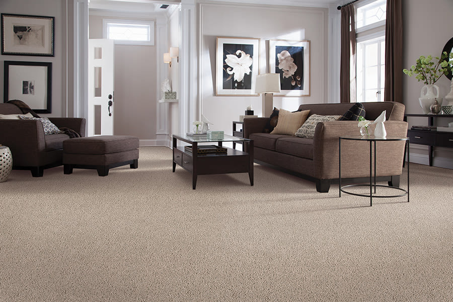 Contemporary carpet in Hamler, OH from Carpet Wholesalers