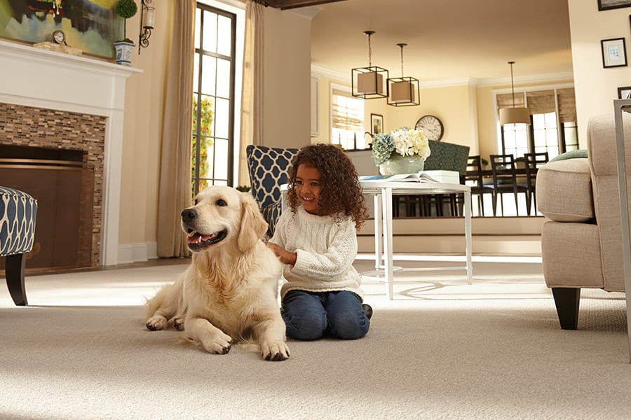 Carpet trends in Cincinnati, OH from Bush's Flooring Center