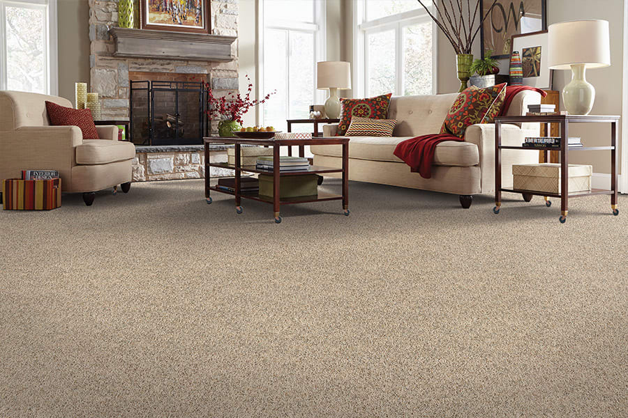 Modern carpeting in East Highland Park, VA from Jeter's Carpet & Flooring