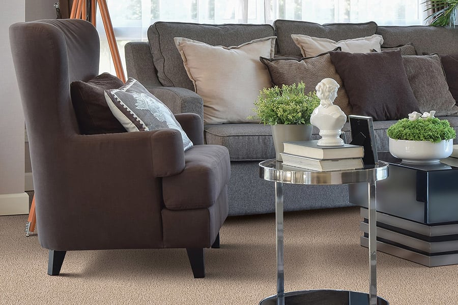 The Rock Hill area’s best carpet store is Williamson Flooring The Rock Hill area’s best carpet store is Williamson Flooring