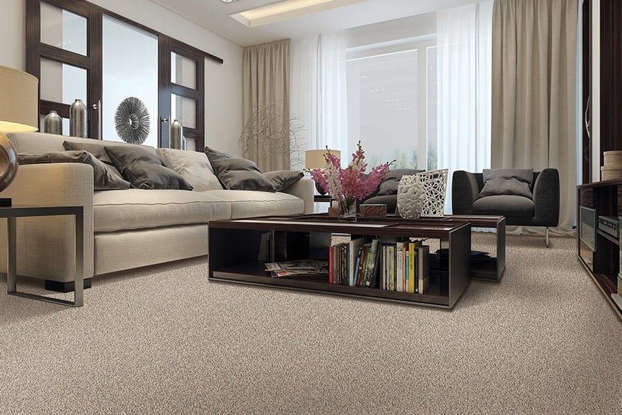 Contemporary carpet in West Liberty, IA from Thompson Floors