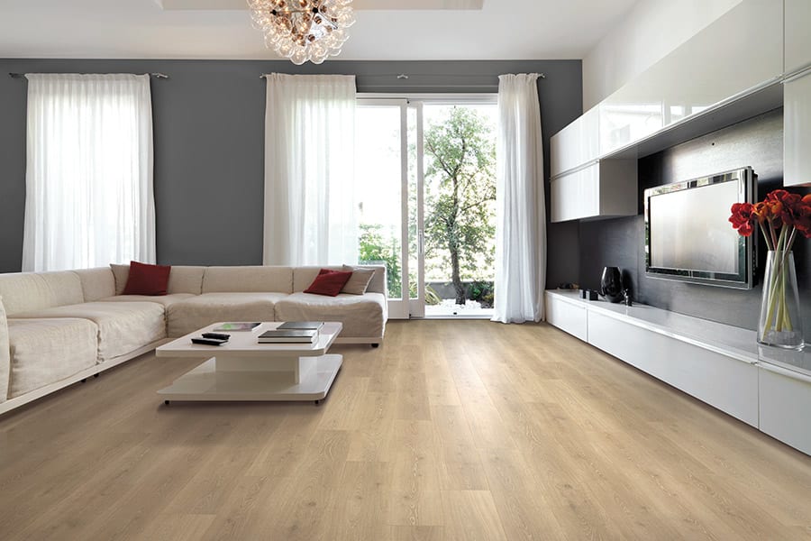Stylish laminate in Lewisville from First US Floors