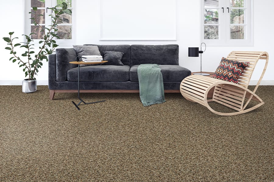 Beautiful textured carpet in Santa Cruz, CA from Floor Depot