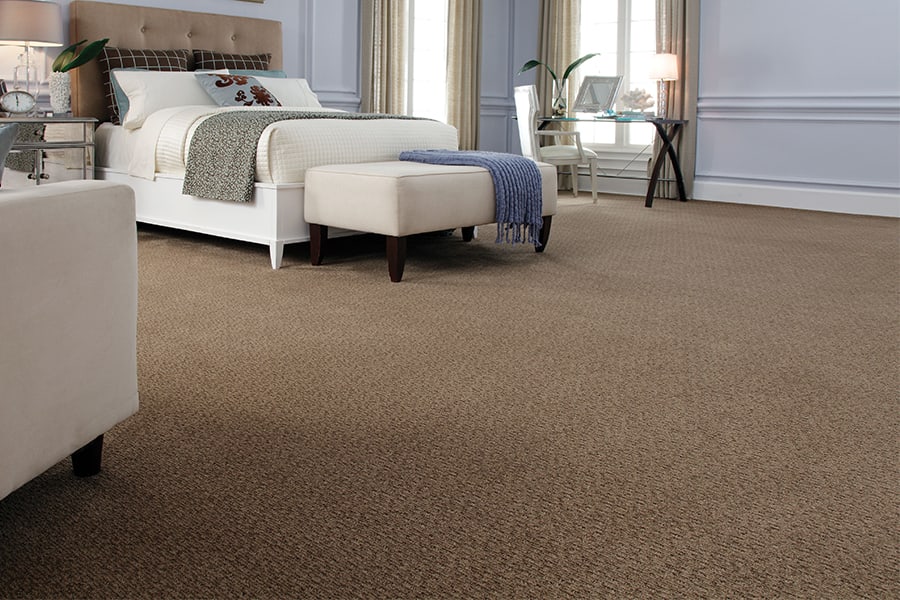 Contemporary carpet in Winter Park, FL from Carpet Direct