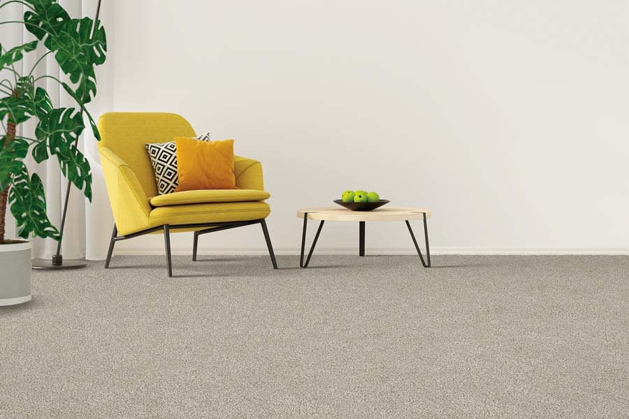 Durable carpet in North Kansas City, KC from Evergreen Flooring