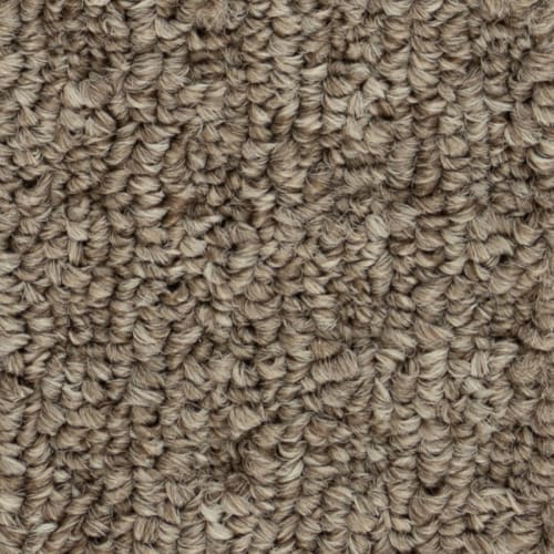 Carpet in Niagara Falls Region, ON