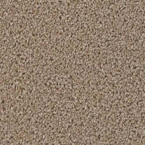 Shop for Carpet in Wilmington, OH, from Gotta Have It Flooring