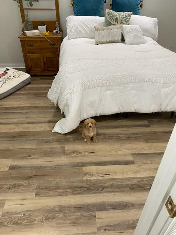 Flooring Store servicing KY The Floor Guy