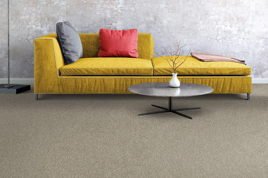 Carpet Store Shay's Carpet Toledo, OH