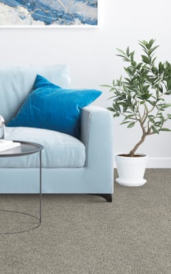 Carpet flooring in Charlotte, NC from Legacy Floor Services INC