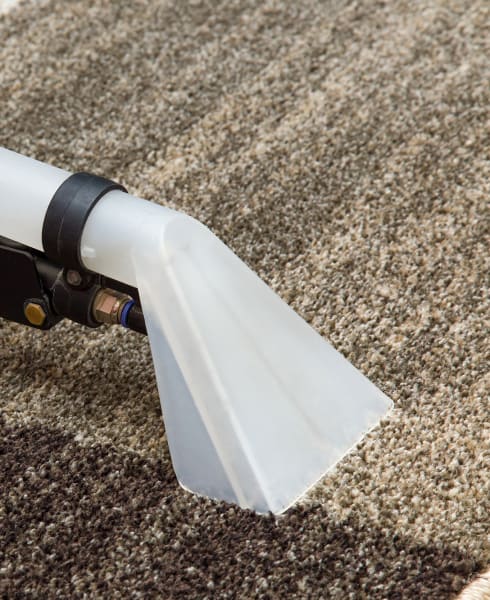  available in Austin, TX from Flooring Warehouse