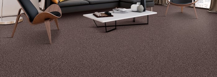 What can I expect during my carpet installation?