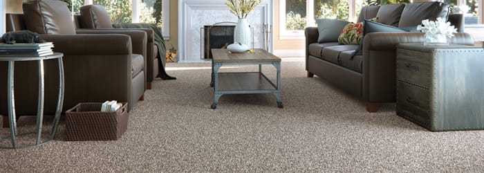 Which carpet fiber is perfect for your house?