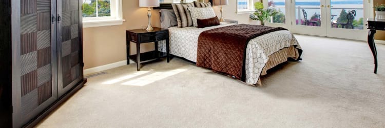 Is my local carpet flooring store the best for shopping?