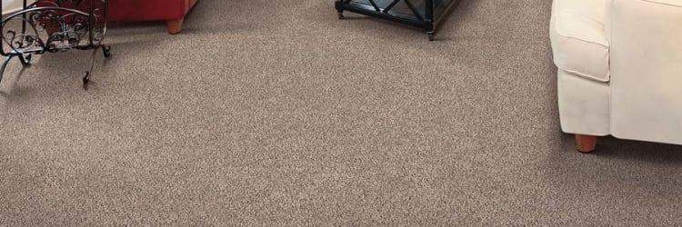 How often should carpet floors be cleaned?