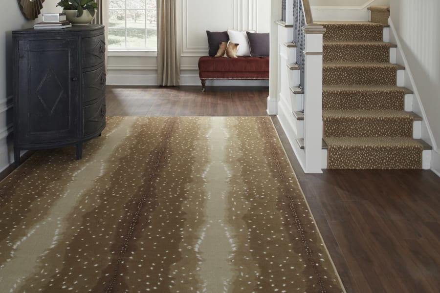 Contemporary area rug in Brookville, NY from Anthony's World of Floors