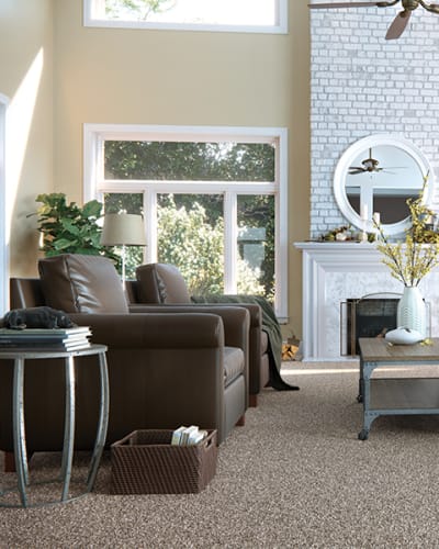 Shop for Carpet in Williston FL from Ocala Carpet & Tile