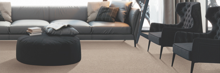 Karastan SmartStrand Carpet: New Styles