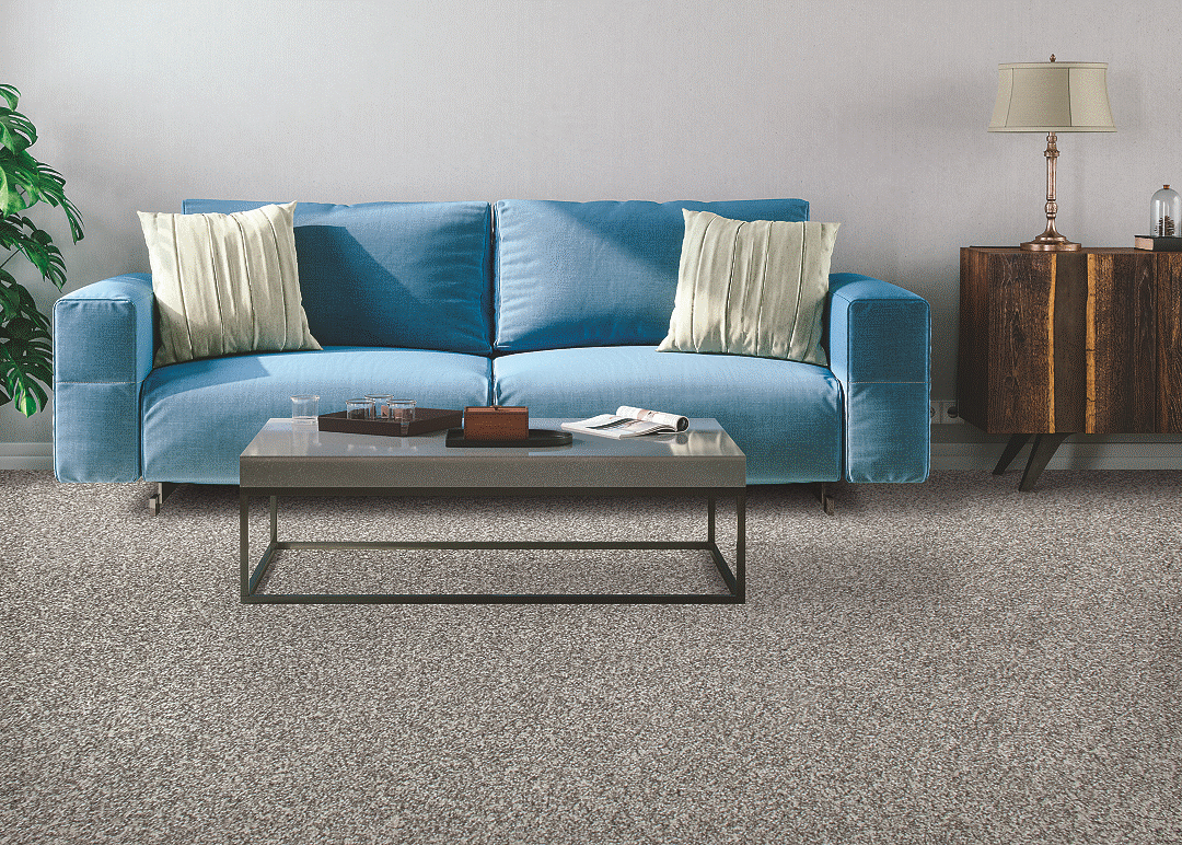 Carpet Color