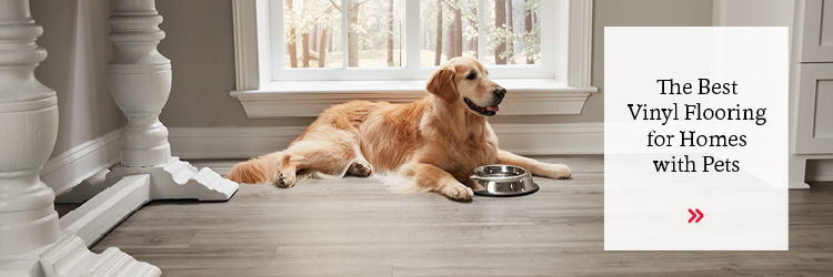 What Is the Best Pet-Friendly Vinyl Floor?