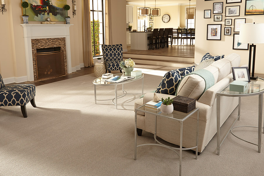 Carpet in Somerset, WI from Carpeting By Mike