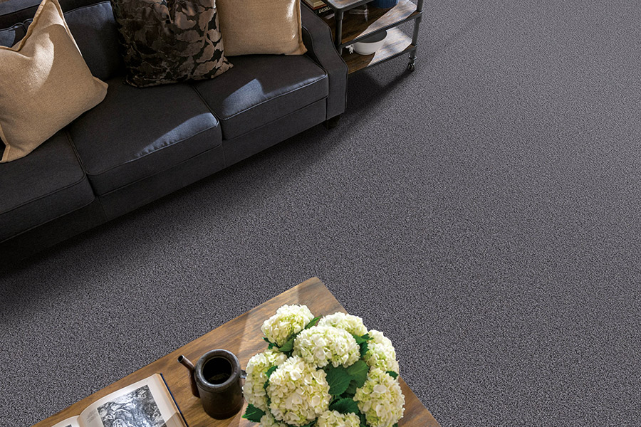 Carpet Store Hardwood Flooring Specialist Colorado Springs, Castle