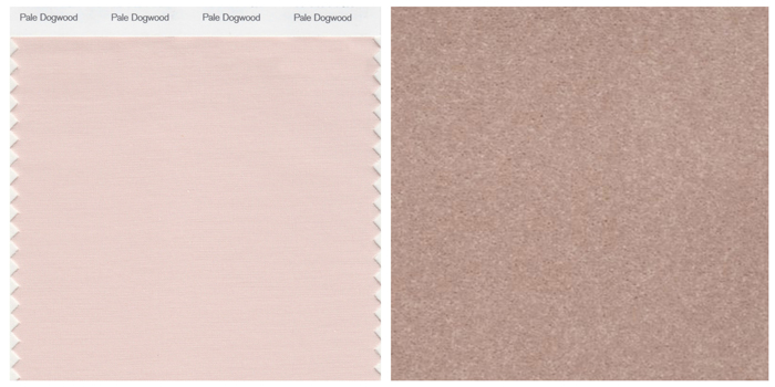 https://res.cloudinary.com/force/image/upload/v1526316219/omnify/blogs/carpet-101/carpet-trends/paledogwood.jpg https://res.cloudinary.com/force/image/upload/v1526316219/omnify/blogs/carpet-101/carpet-trends/paledogwood.jpg