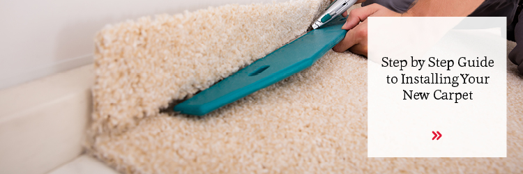 4 Tips For Selecting Pet Proof Carpet