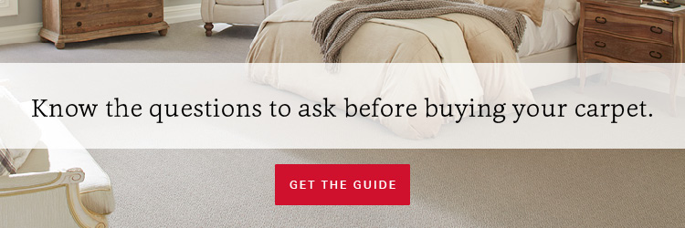 Everything you need to know before you buy carpet