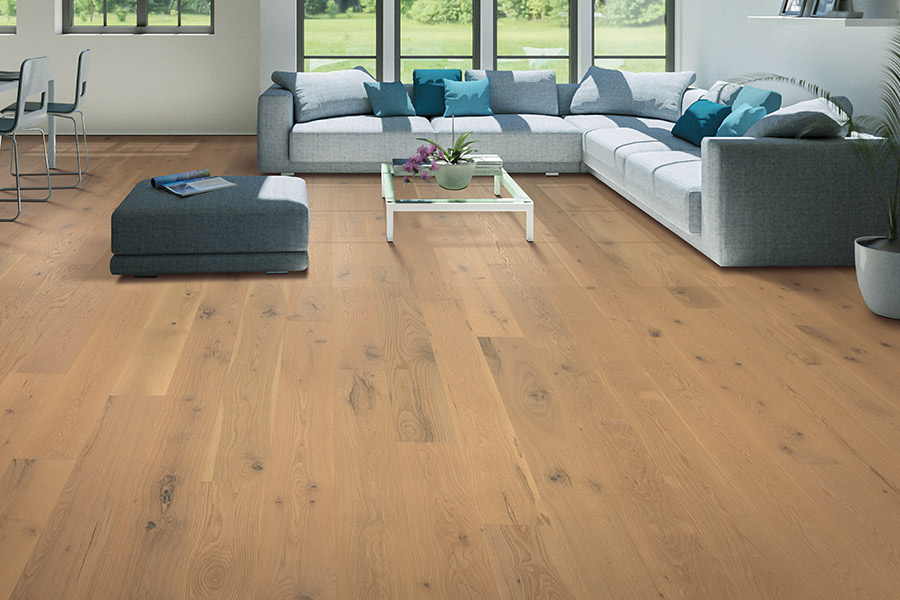 Modern Hardwood flooring ideas in Robins, IA from House of Carpets