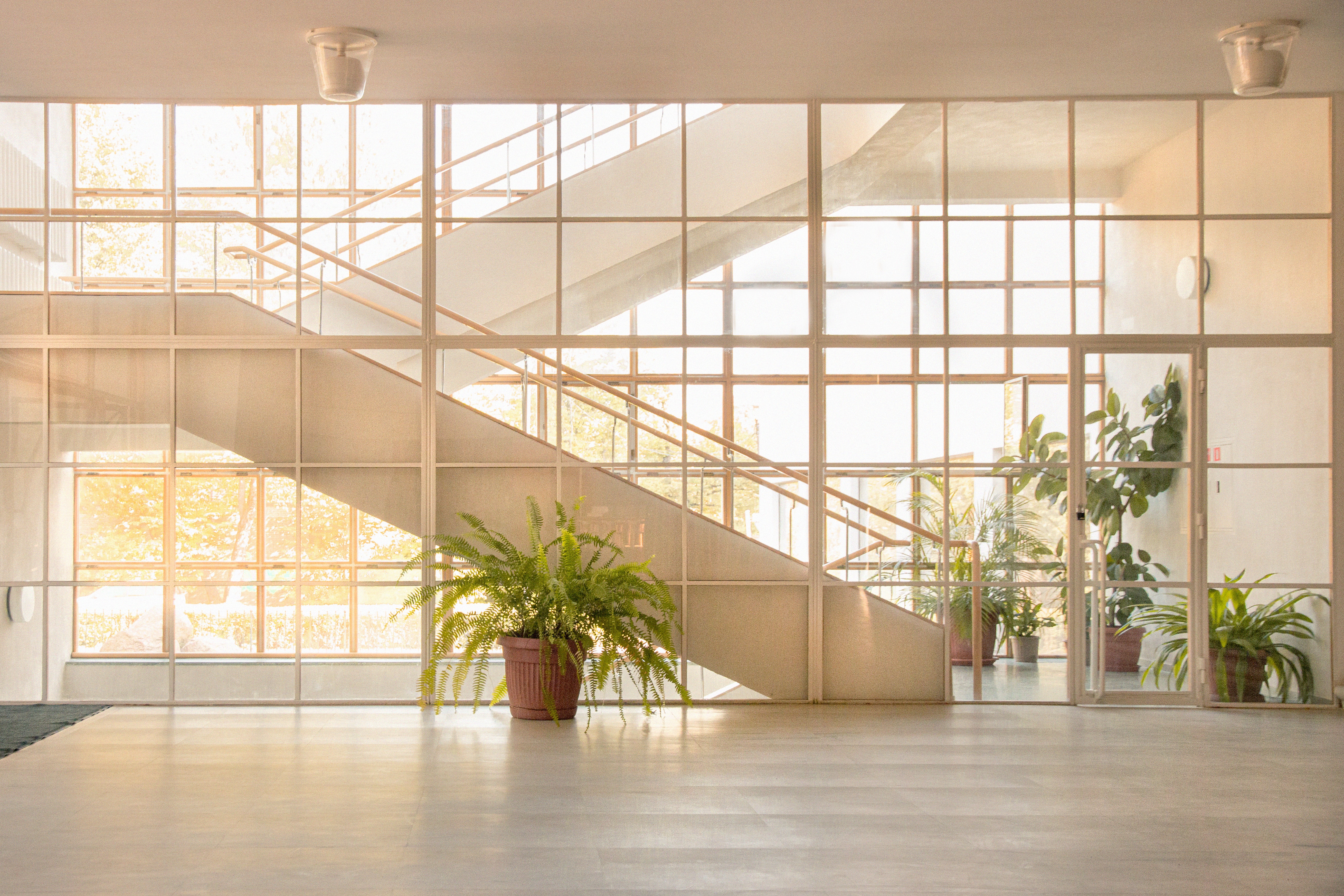 About luxury vinyl in Tulsa, OK from Mill Creek Carpet - Commercial