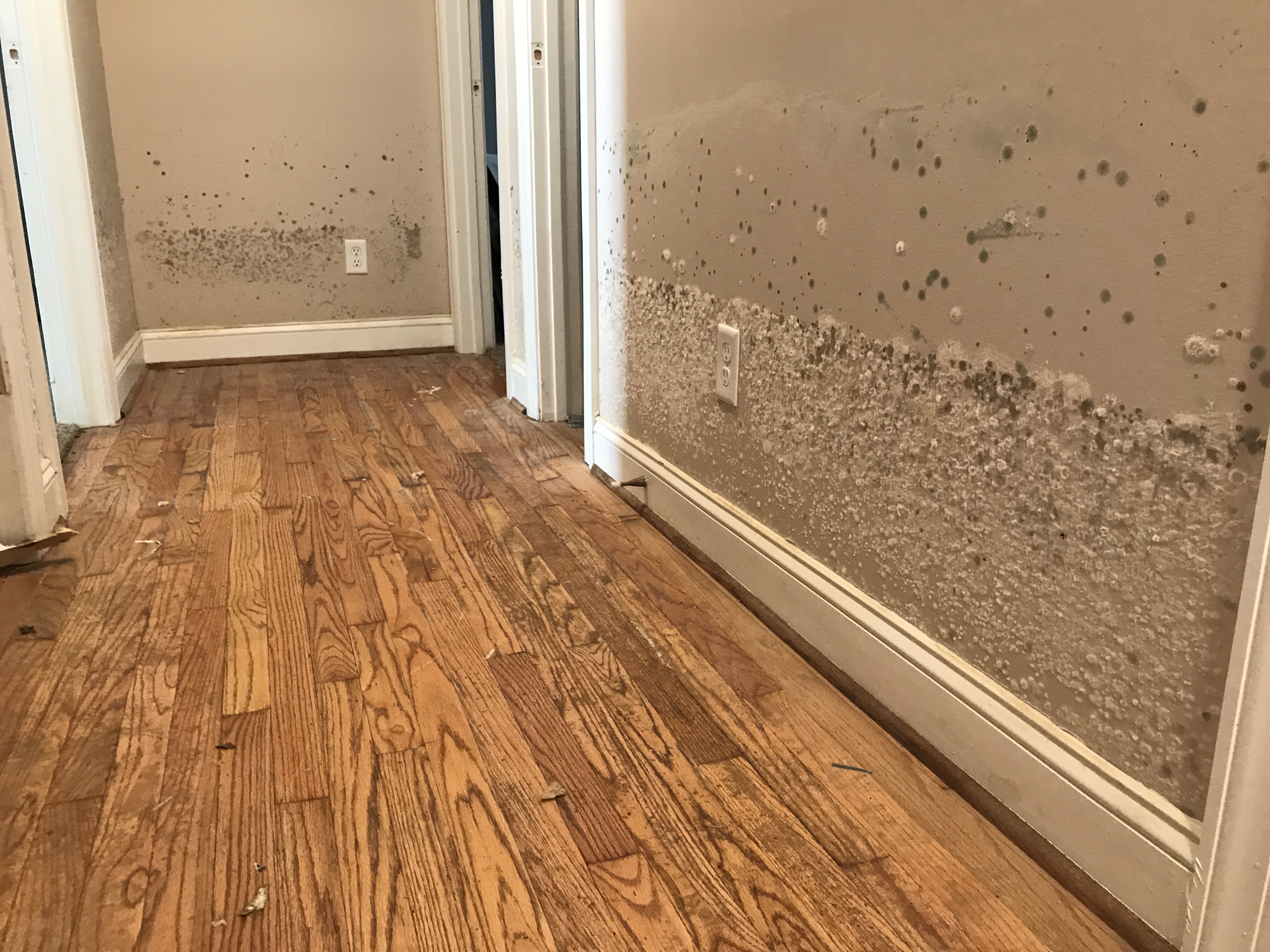 major long term water damage in Killeen, Texas
