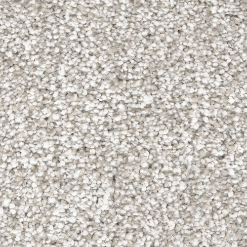 Carpet in Plano, TX