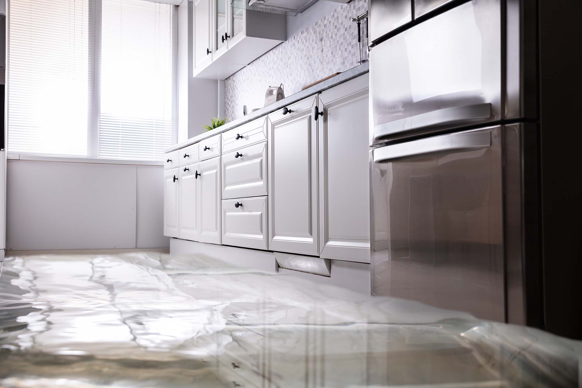 what to do with water damage within first 24 hours in Killeen, TX